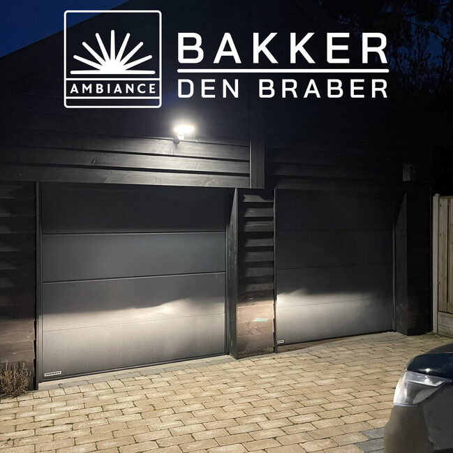 Hormann 2LPU42 L-Profiliring Planar RAL CH703